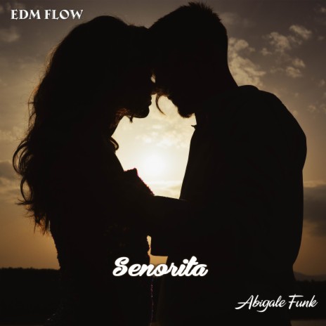 Senorita (Cover) | Boomplay Music
