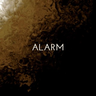 Alarm