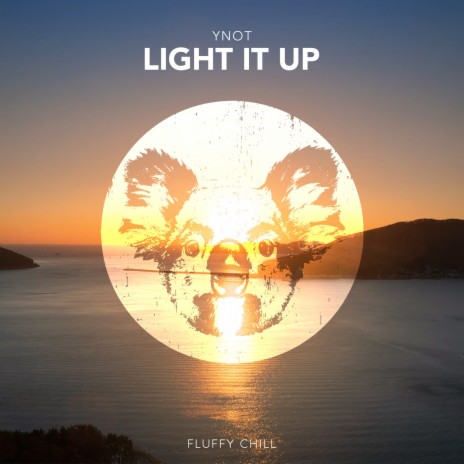 Light It Up | Boomplay Music