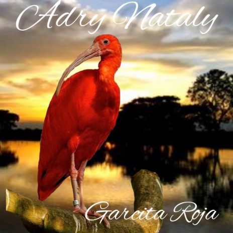 Garcita Roja | Boomplay Music