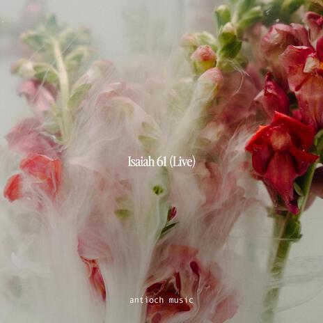 Isaiah 61 (Live) | Boomplay Music