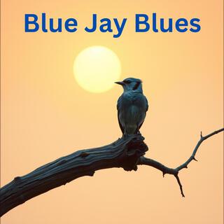 Blue Jay Blues