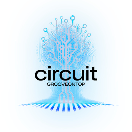 Circuit