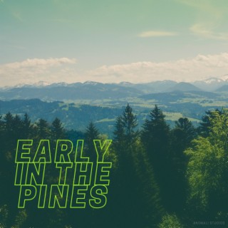 Early In The Pines