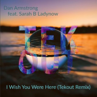 I Wish You Were Here (Tekout Remix)