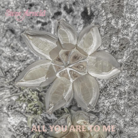 All You Are To Me | Boomplay Music