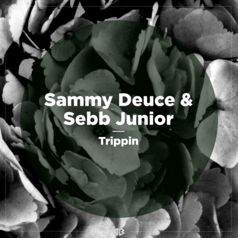 Trippin ft. Sebb Junior | Boomplay Music