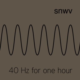 40 Hz for one hour