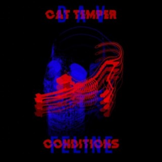 Feline Conditions (feat. Cat Temper)