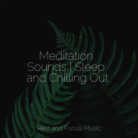 Stoic Mindfulness | Boomplay Music