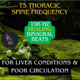T5 Thoracic Spine Frequency (196 Hz)