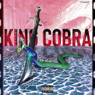 King Cobra