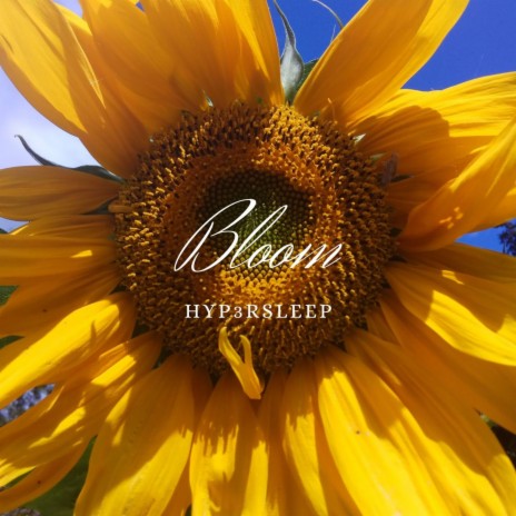 Bloom | Boomplay Music