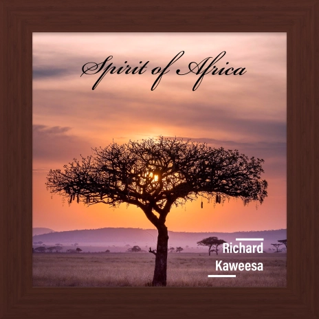 Download Richard Kaweesa album songs: Spirit of Africa | Boomplay Music