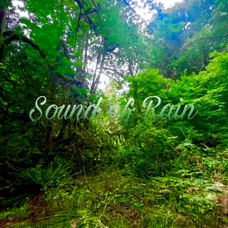 Sound of Rain