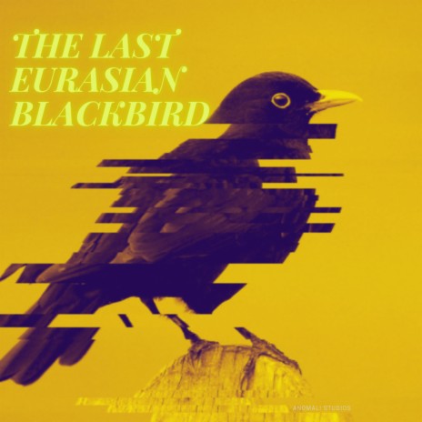 The Last Eurasian Blackbird