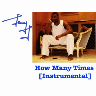 How Many Times (Instrumental)