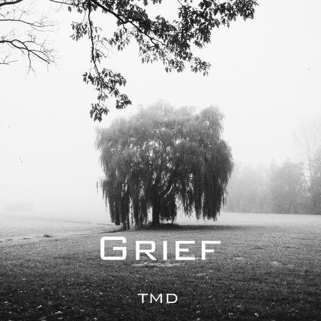 Grief. | Boomplay Music