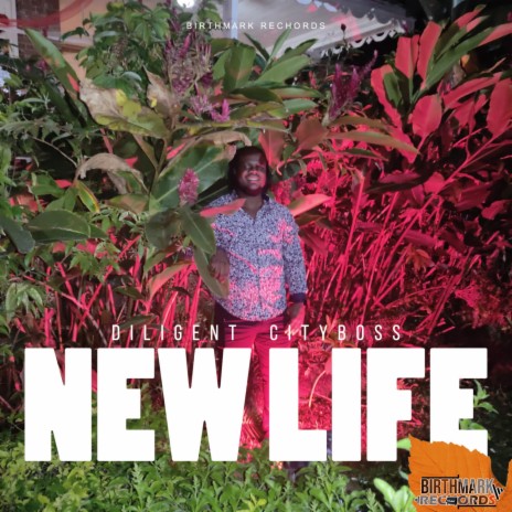 NEW LIFE | Boomplay Music