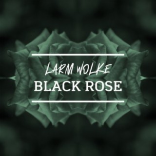 Black Rose