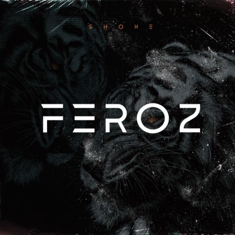 Feroz ft. Equality | Boomplay Music