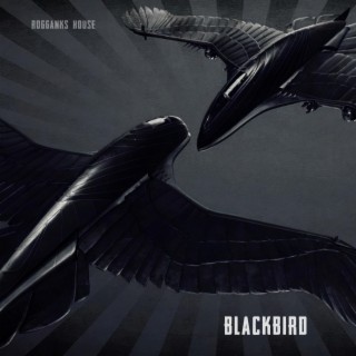 BLACKBIRD