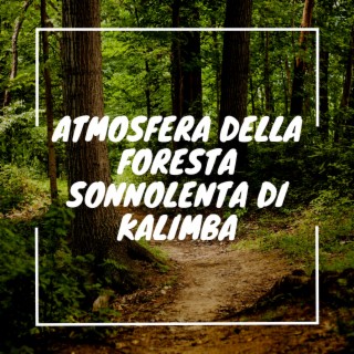 Atmosfera della foresta sonnolenta di kalimba