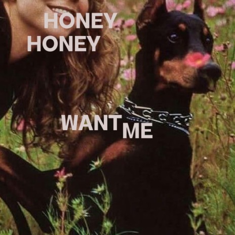 Honey, Honey, Want Me