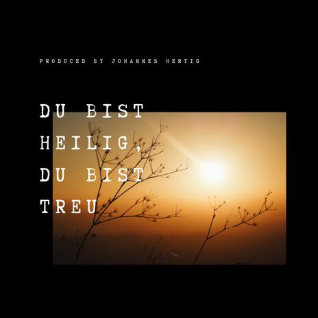 Du bist heilig, Du bist treu | Boomplay Music