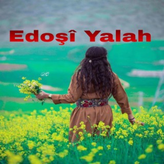 Kurdish halay_ Edoşî Yalah