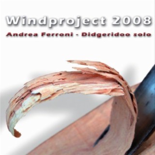 Windproject 2008. Andrea Ferroni (Didgeridoo Solo)