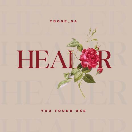 Healer ft. You Found Axe | Boomplay Music