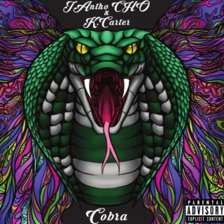 Cobra ft. K.Carter2700 lyrics | Boomplay Music