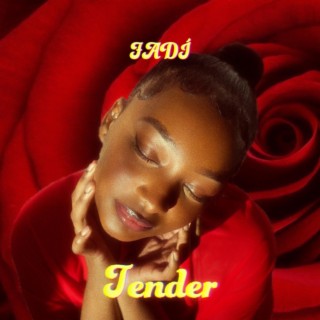 Tender