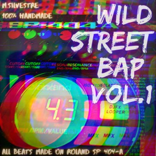 Wild Street Bap, Vol. 1