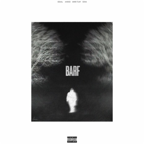 Barf ft. Ahood, Amin Tijay & Soha | Boomplay Music