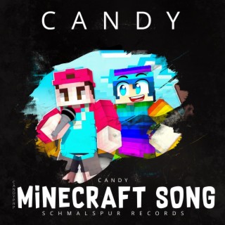 Minecraft Song Remix