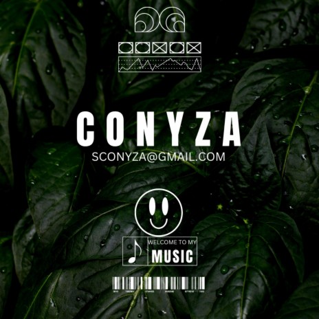 magayiza | Boomplay Music