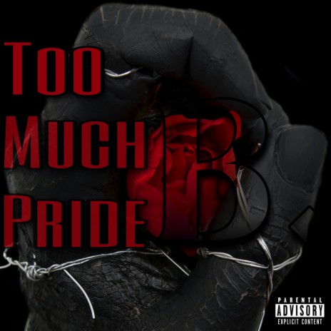 Too Much Pride | Boomplay Music