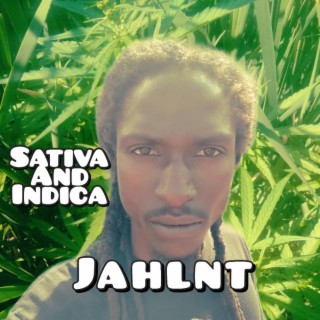 Sativa And Indica