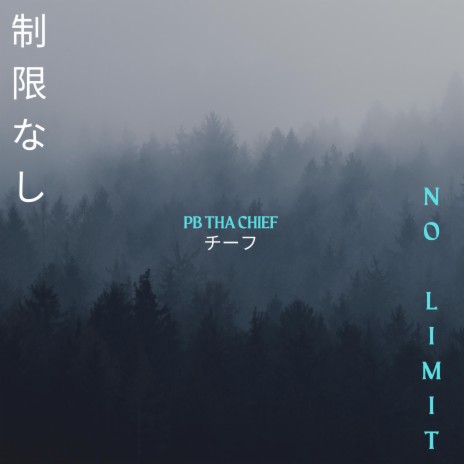 No Limit | Boomplay Music