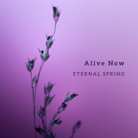 Alive Now (Violin Version)