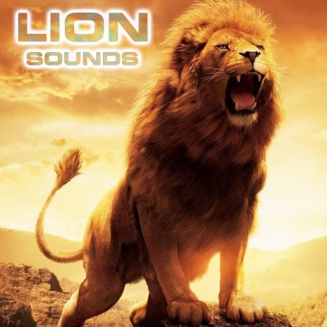 African Lion Sound (feat. Relaxing Nature Sound, White Noise Ambience, Nature Sounds New Age, Soothing Sounds & National Geographic Nature Sounds)