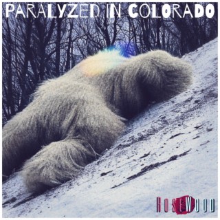 Paralyzed In Colorado lyrics | Boomplay Music