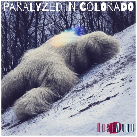 Paralyzed In Colorado | Boomplay Music