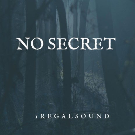 NO SECRET | Boomplay Music