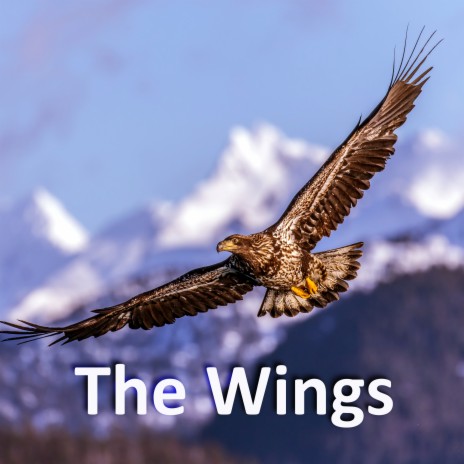 The Wings | Boomplay Music