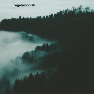 Regeton 30