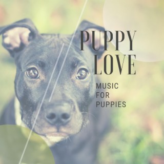 Puppy Love: Music for Puppies