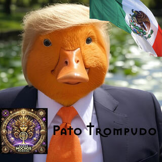 Pato Trompudo